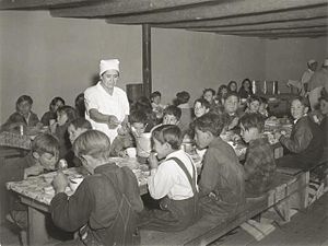 Schoolchildren eating hot school lunches made ...